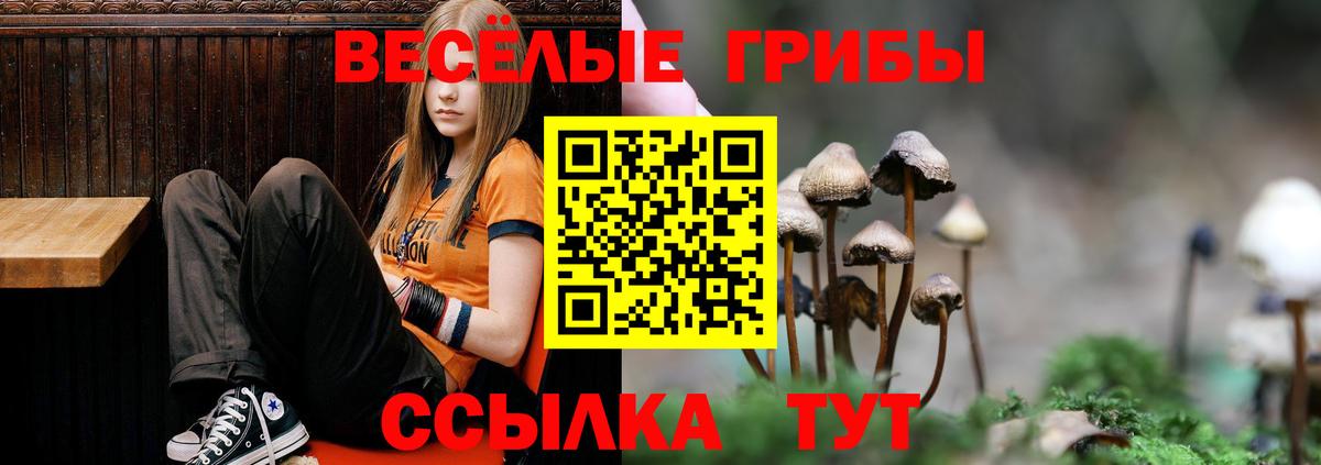 Псилоцибиновые грибы GOLDEN TEACHER  Вход с VPN  Чехов 