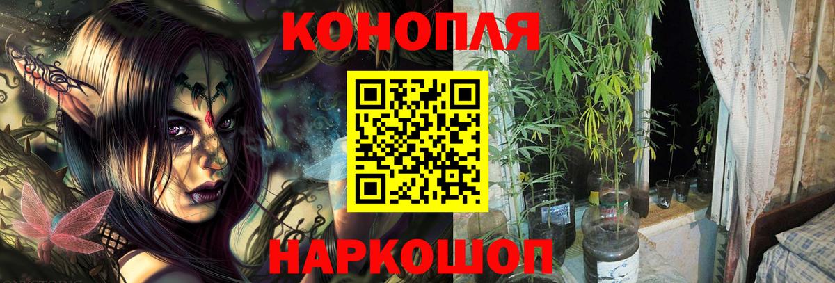 Конопля тримм  Бошки марихуана гибрид  МАРИХУАНА Ganja  Вход с VPN  Конопля VHQ  Чехов 